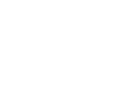 AEVNP