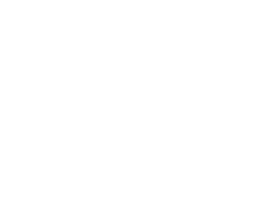 AEVNP